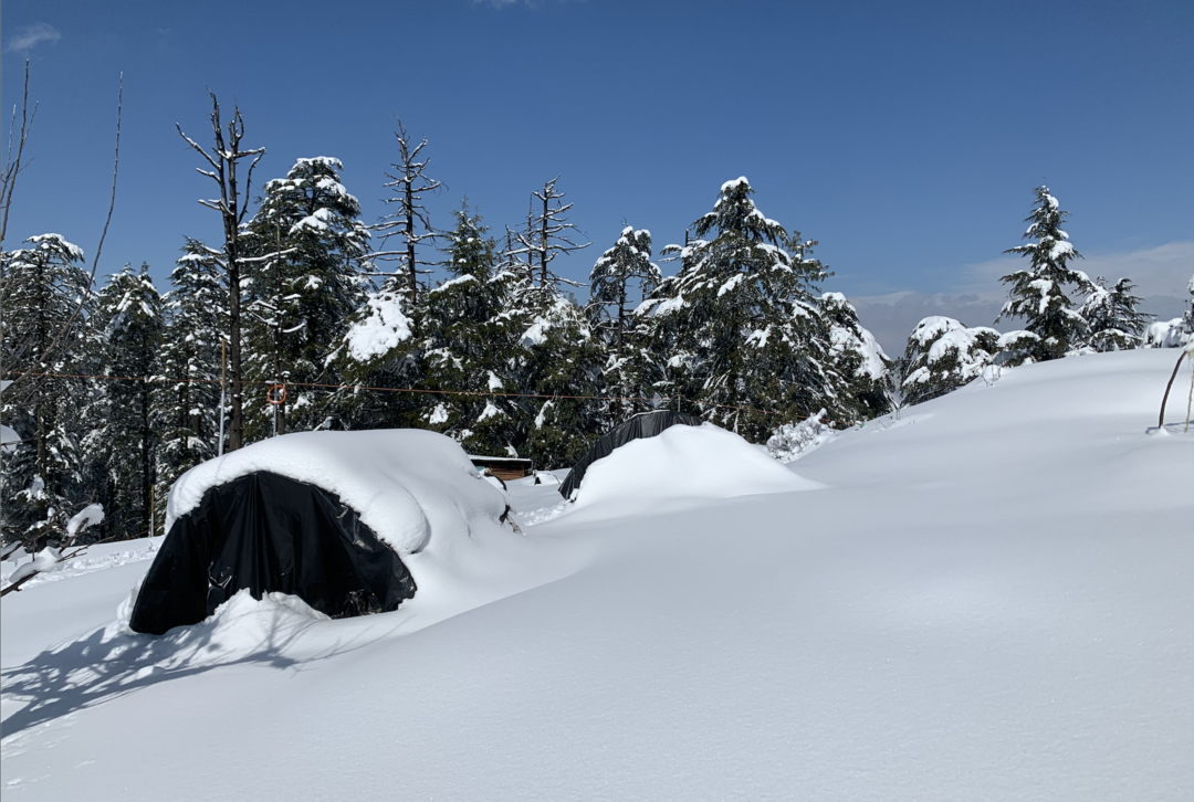 chakrata tour package